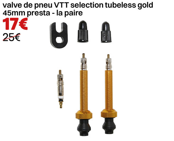 valve de pneu VTT selection tubeless gold 45mm presta - la paire